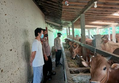 Polres Banjarnegara Cek Peternak Sapi Antisipasi Virus PMK Jelang Idul Adha 1443 Hijriyah