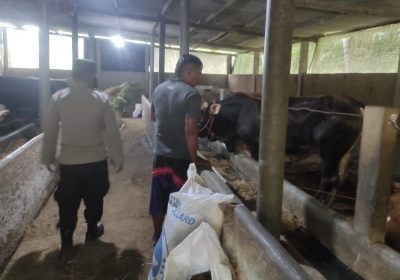 Cegah PMK Polres Banjarnegara Monitoring Peternak dan Pasar Hewan