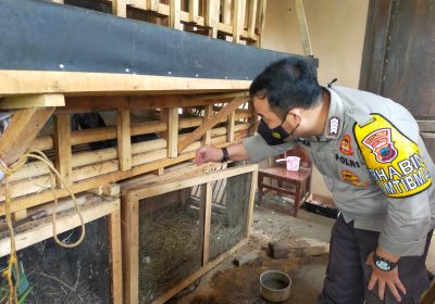 Polres Banjarnegara Monitoring Peternak dan Pasar Hewan Guna Cegah PMK